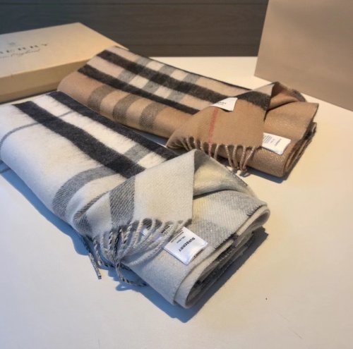 Burberry Scarves