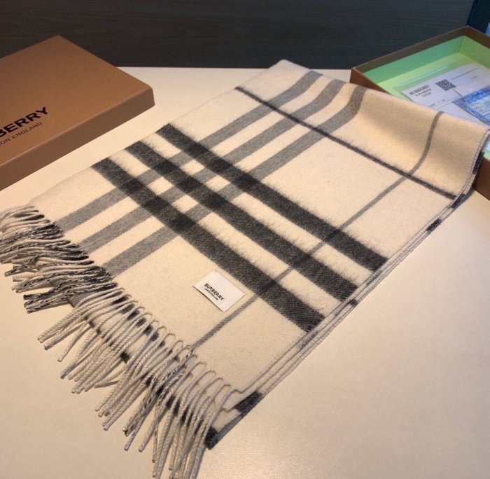 Burberry Scarves