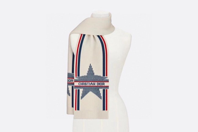 Dior Scarves