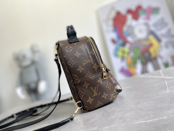 LOUIS VUITTON bags