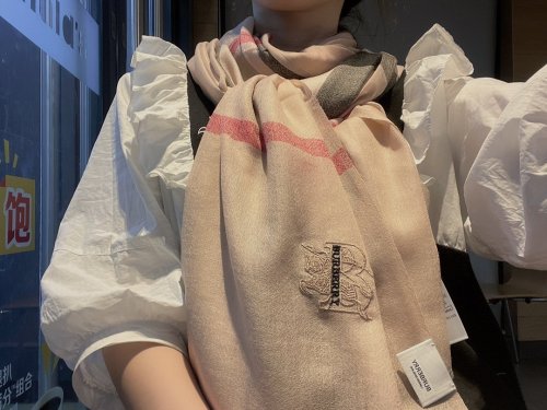 Burberry Scarves