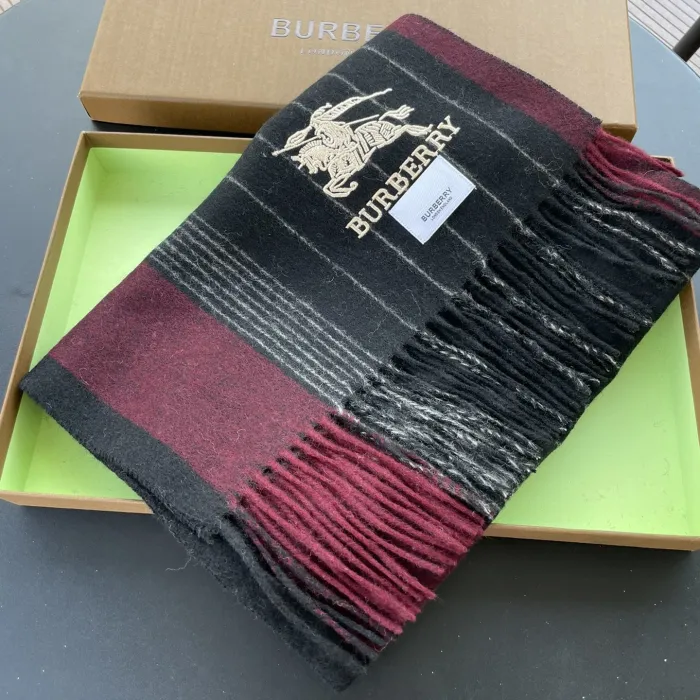 Burberry Scarves