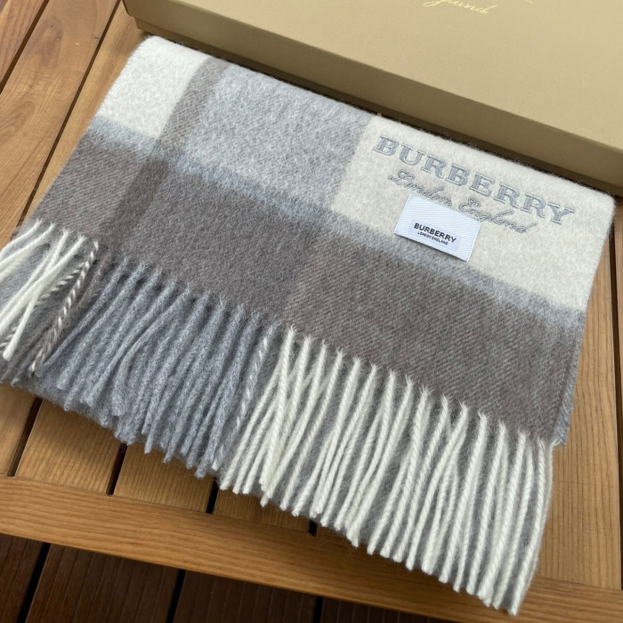 Burberry Scarves