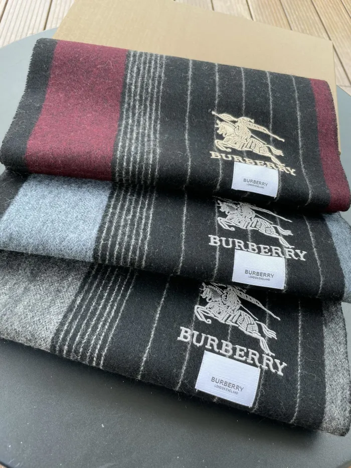 Burberry Scarves