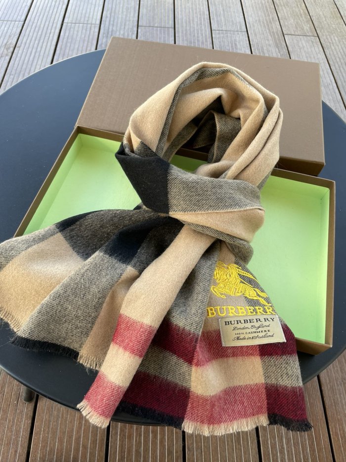 Burberry Scarves