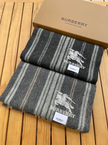 Burberry Scarves