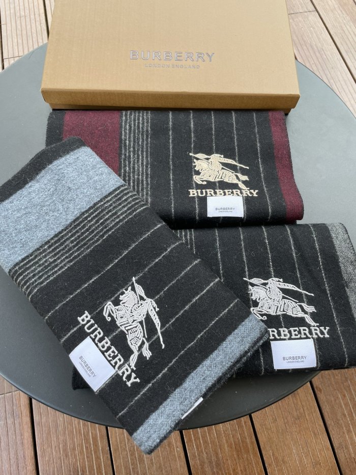 Burberry Scarves