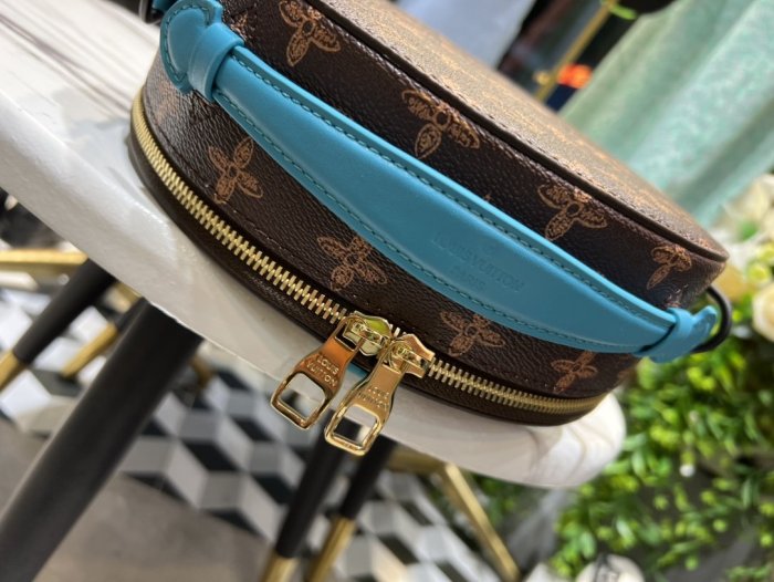 LOUIS VUITTON bags