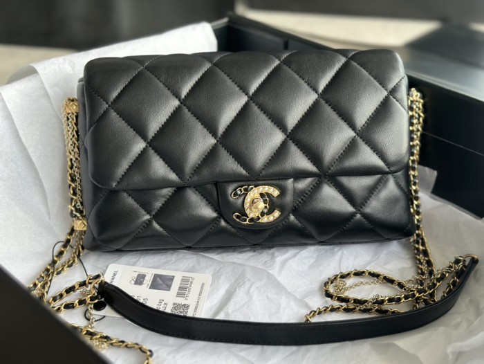 Chanel bags