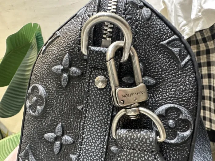 LOUIS VUITTON bags