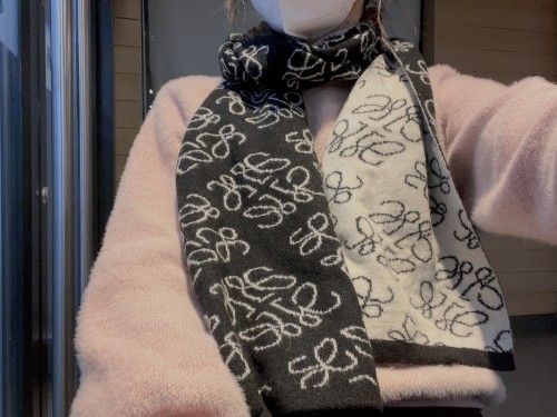 LOEWE Scarves