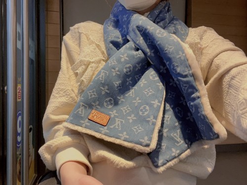 LOUIS VUITTON Scarves