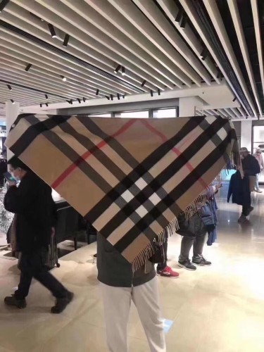 Burberry Scarves