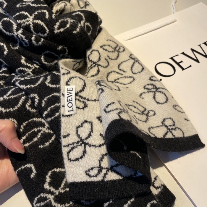 LOEWE Scarves