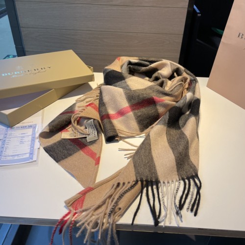 Burberry Scarves