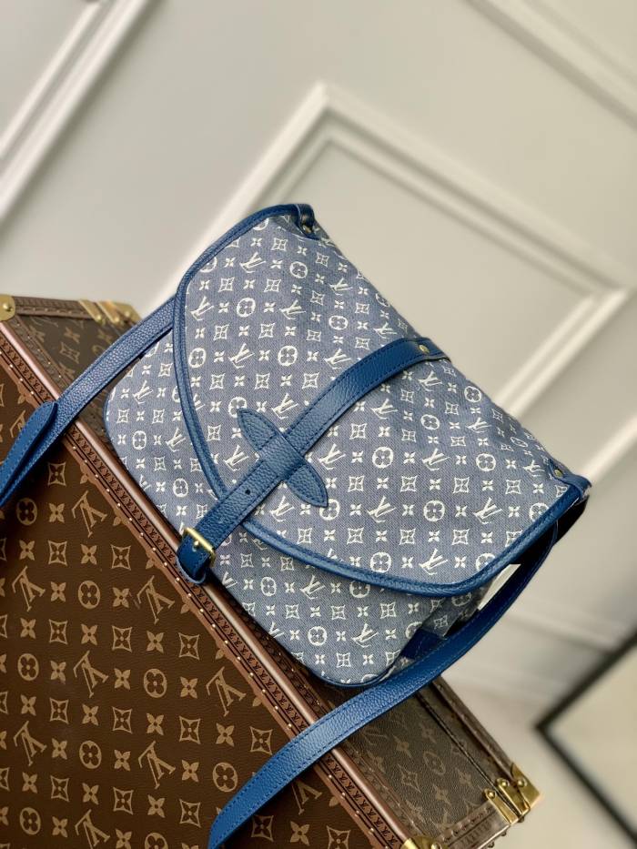 LOUIS VUITTON bags