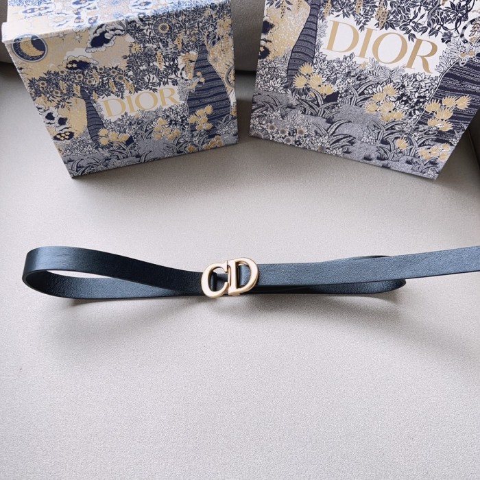 Dior Belt