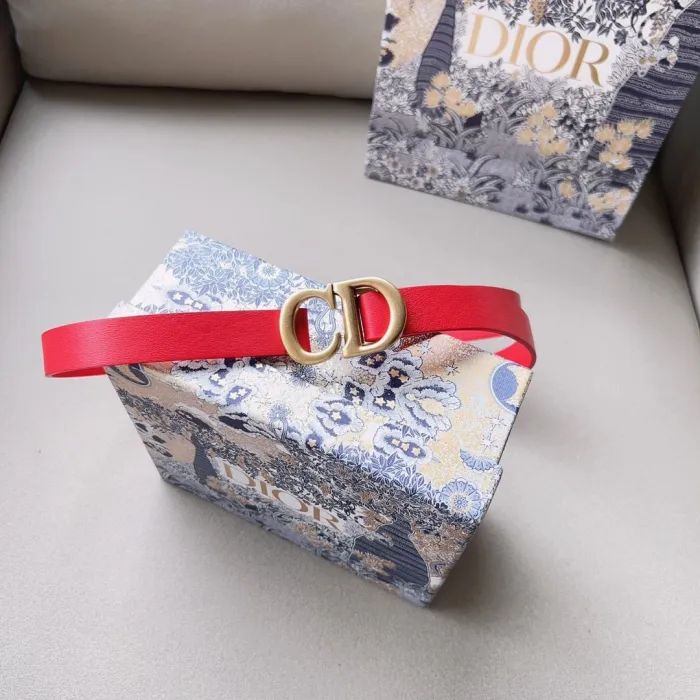 Dior Belt