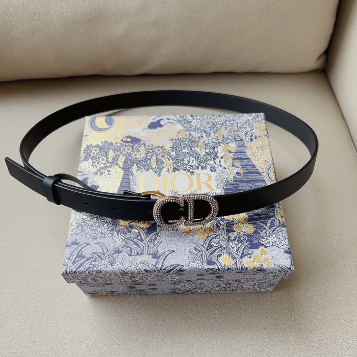 Dior Belt