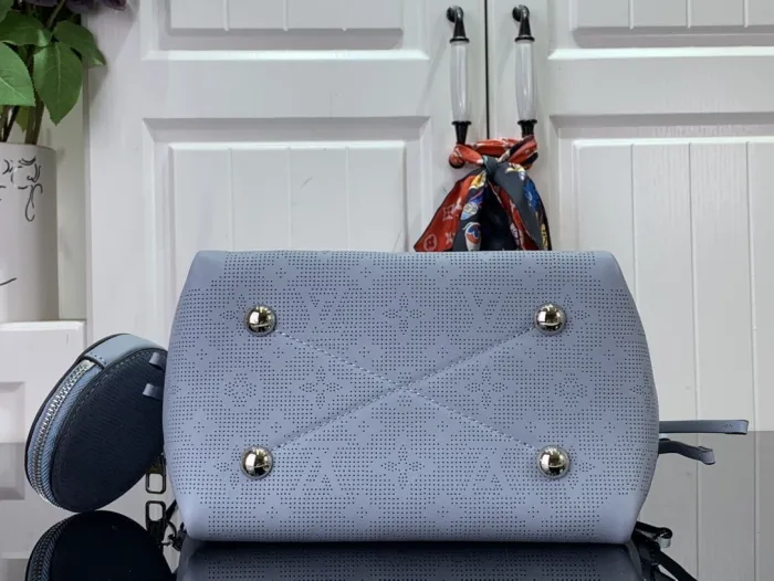 LOUIS VUITTON bags