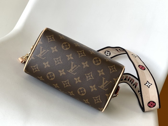 LOUIS VUITTON bags