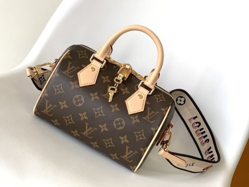 LOUIS VUITTON bags