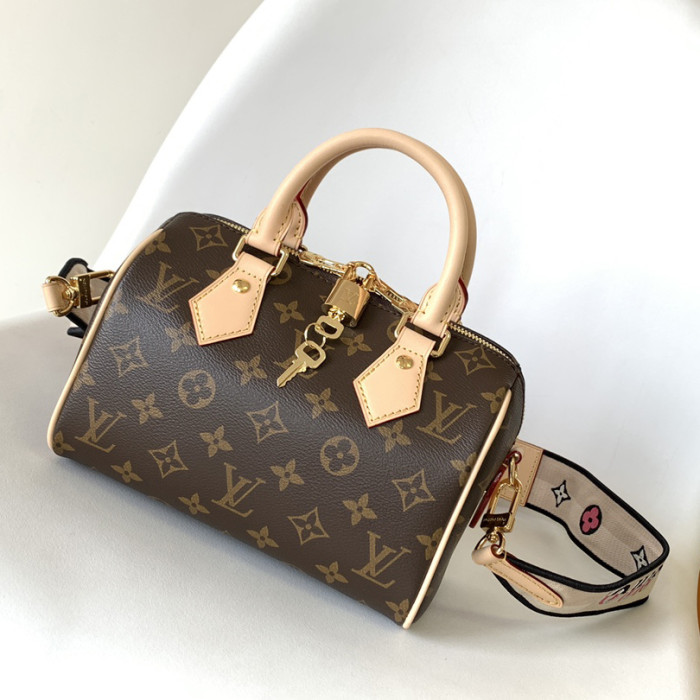 LOUIS VUITTON bags