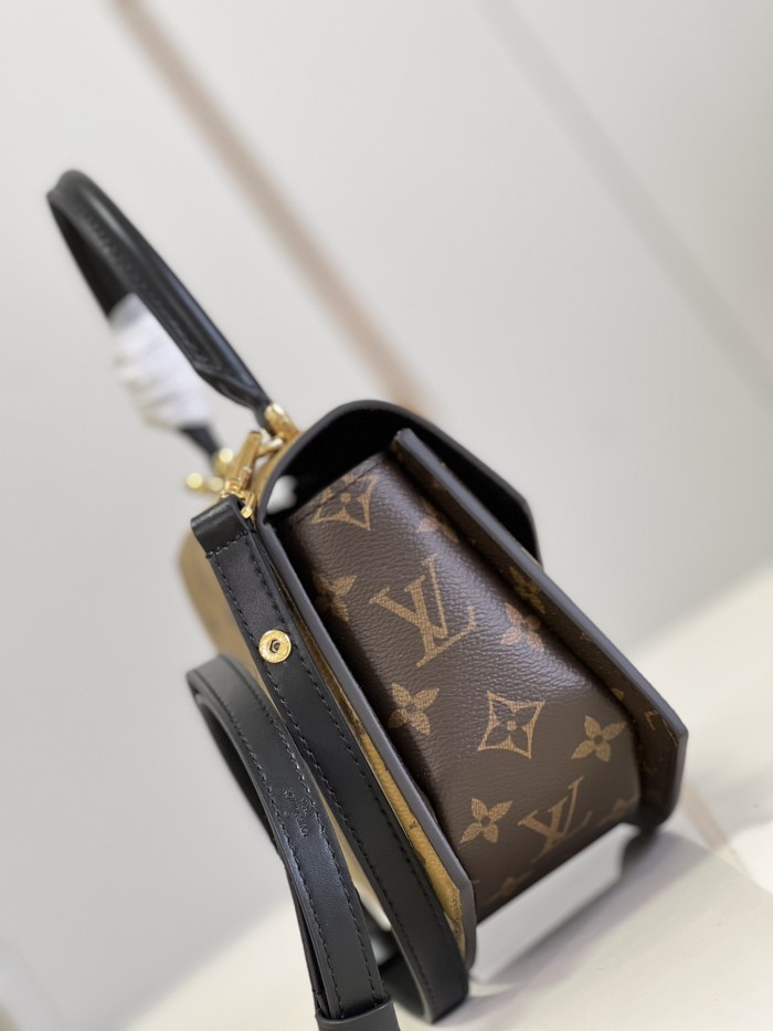 LOUIS VUITTON bags