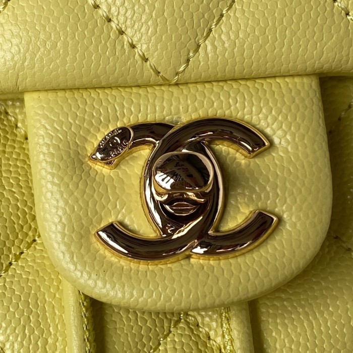 Chanel bags