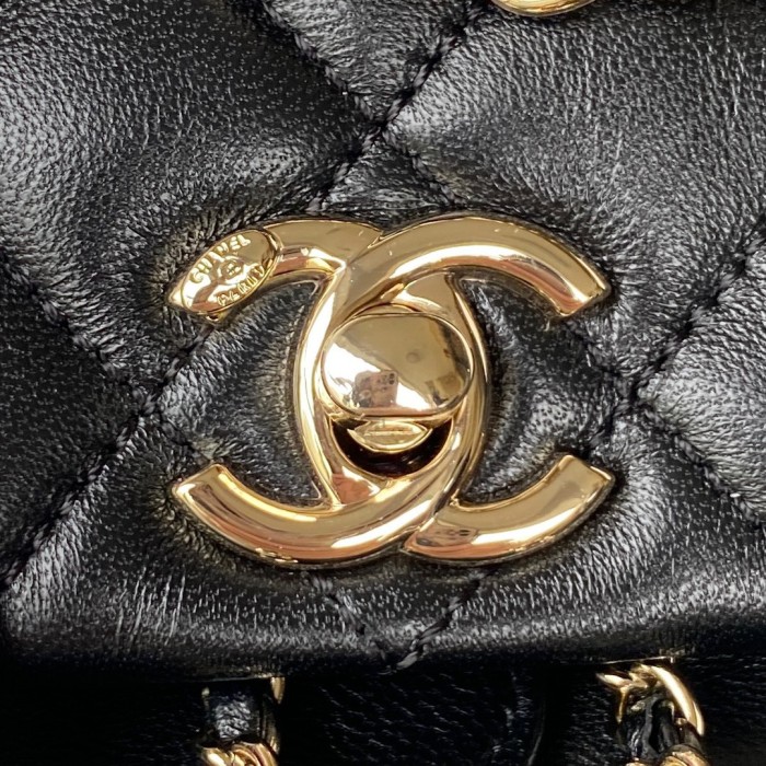 Chanel bags