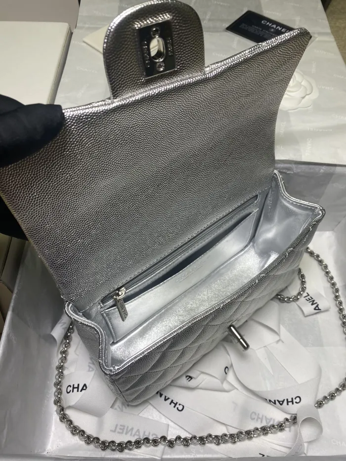 Chanel bags