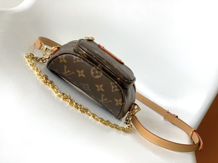 LOUIS VUITTON bags