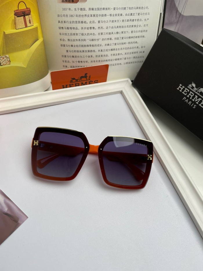 Hermes Sunglasses