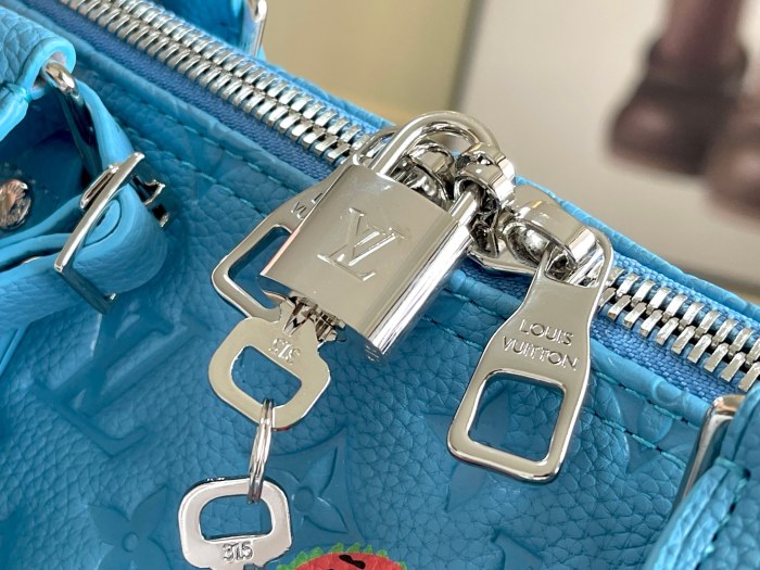 LOUIS VUITTON bags