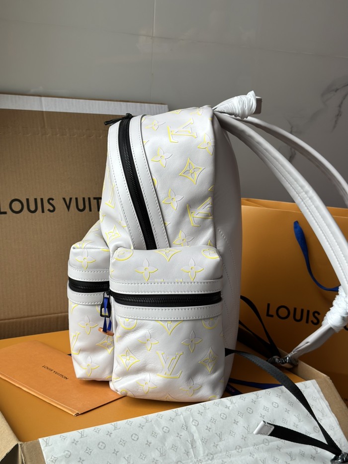LOUIS VUITTON bags