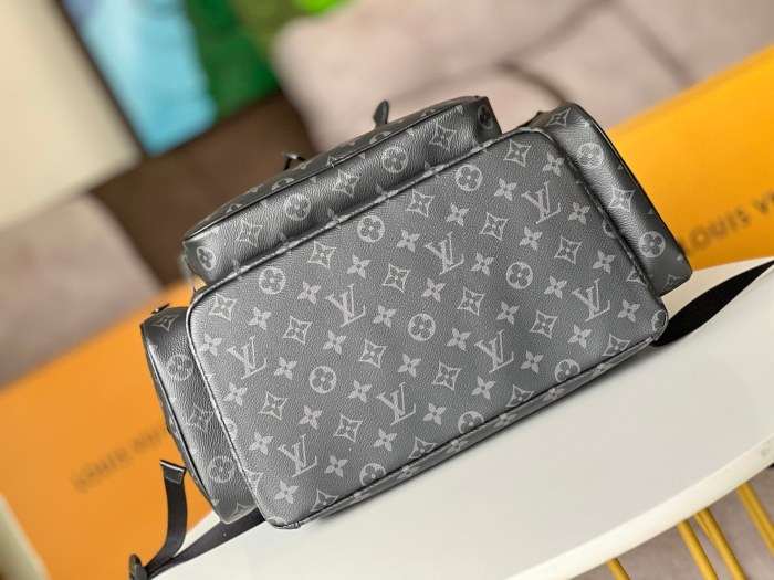 LOUIS VUITTON bags