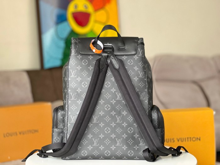 LOUIS VUITTON bags