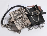 Fashion Adjustable Ladies Waist Bag With Chain WZ998