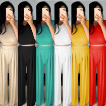 Casual Solid Color Round Neck Mini Top With Pleated Straight Pants Two Pieces Sets XZ3608