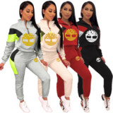 Trendy Colors Splicing Outfits Stand Collar Hoodie Sport Pants HHM6177