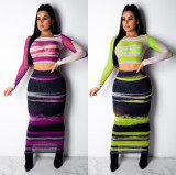 Sexy Perspective Bodycon Print Mesh Skirt Suits For Ladies QZ3255