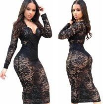 Stylish Black Lace Perspective V Neck Women Bodycon Dress BBN012