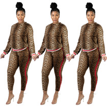 Stripe Patchwork Leopard Print Fashion Slim 2 Pieces Sets JH135