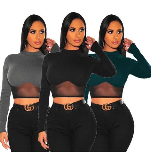 Fashion Mesh Perspective Round Neck Long Sleeves Mini Top WMZ2585