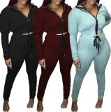 Fashion Solid Color Zipper Long Sleeves Mini Cardigan With Trousers Two Piece Sets HG083