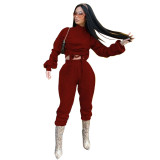 Autumn Solid Color High Collar Long Sleeves Drawstring Mini Top With Trousers Two Piece Sets WYM2028