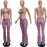 Sexy printed swimsuit mesh three-piece suit (including panties) BN163