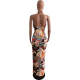Sexy Printed Slim Hollow Long Skirt Dress L739