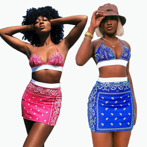 Two-piece sexy swimsuit short skirt two-piece printed short skirt FFD1116