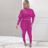 Hot style horse leg sleeve women's two-piece suit F135